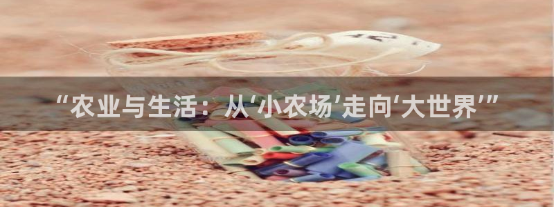 必一体育官方入口