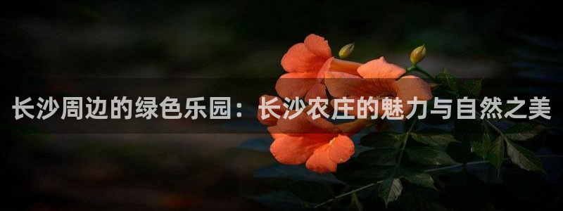 必一体育sport官网