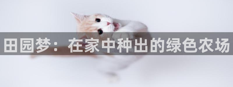 b体育官网下载入口app必一