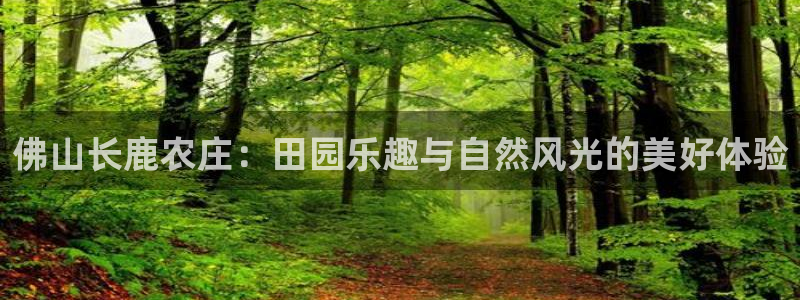 必一体育旧版