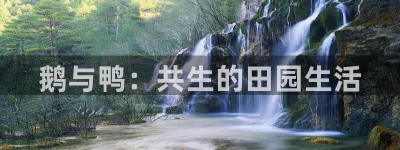 必一运动aop