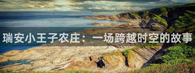 必一运动 b 体育素描版