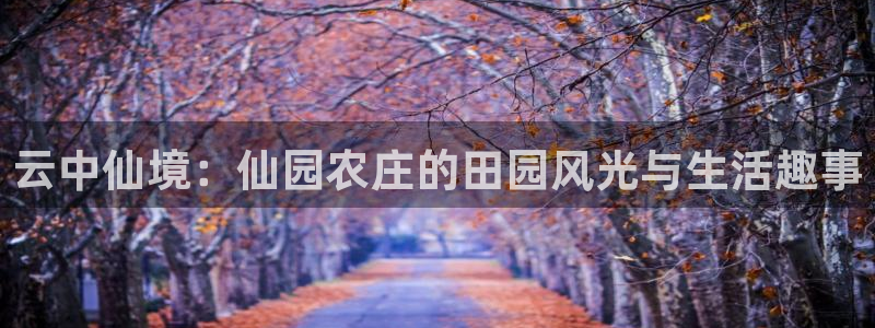 必一体育登入