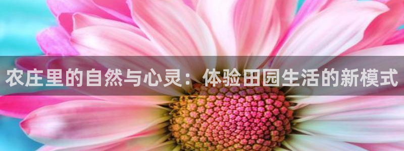 必一体育在线官网