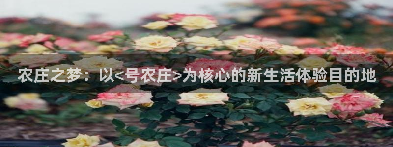 必一体育sport网页版