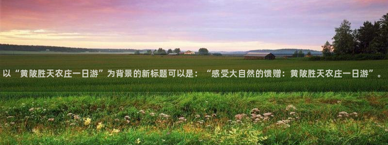 必一运动·体育