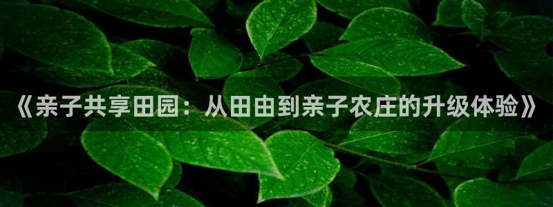 必一体育app官方