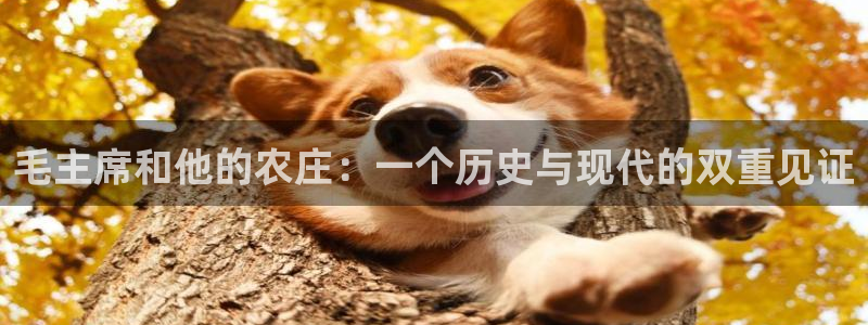 必一体育在线入口