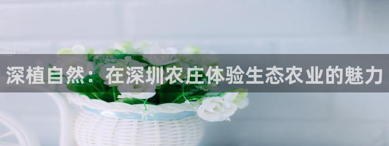 必一体育在线玩