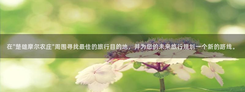 必一体育官网网站
