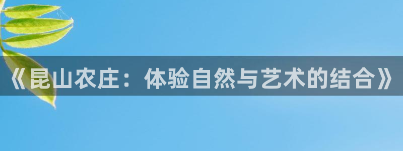 必一体育在线玩