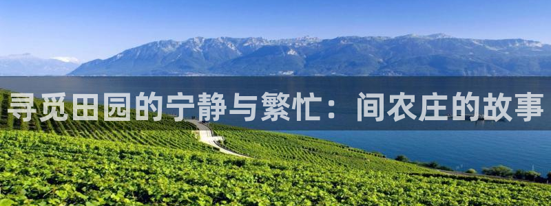 必一体育下载义