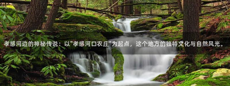 必一体育app官方下载入口