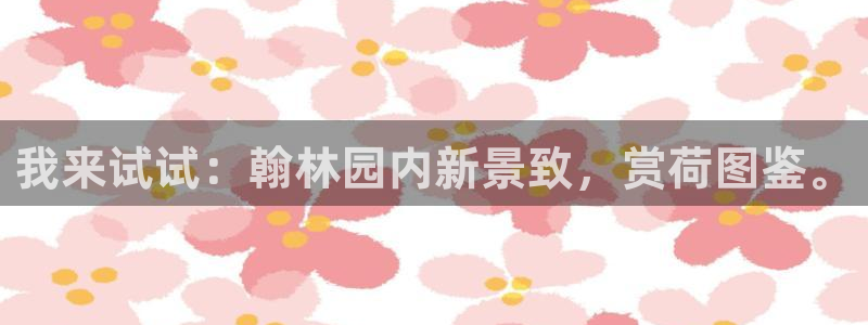 必一体育黑平台