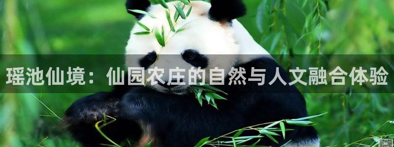 必一体育下载登入