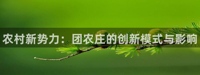 必一体育游戏特色