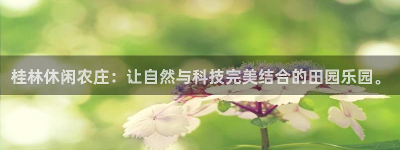 必一体育在哪下