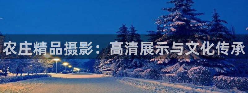 必一体育sport网页版