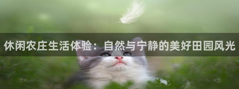 必一体育平台