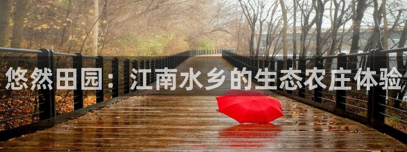 必一体育网站
