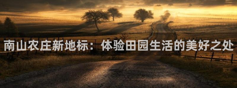 必一体育电子app
