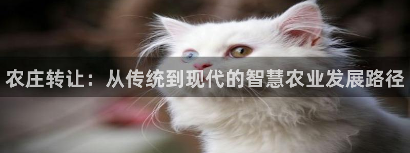 必一运动B-Sport官方网站入口