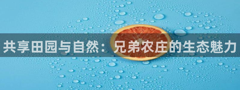 必一体育sport下载