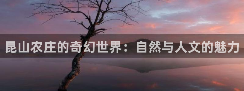 必一体育网页登陆