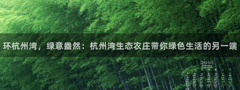必一体育运动官网