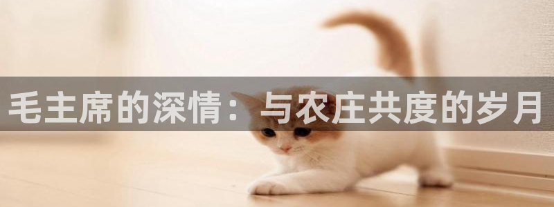 必一体育app下载装机吧