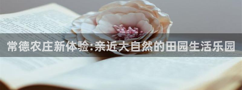 必一运动听的歌
