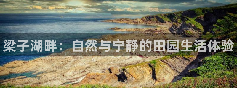 必一体育app官方