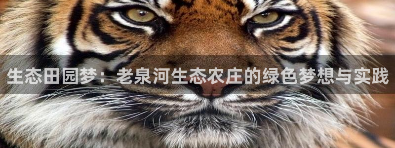 氵必一一厂一