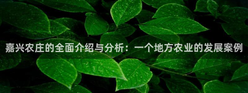 必一运动官网平台