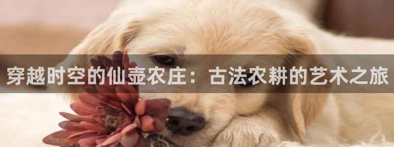 必一体育官网ios下载