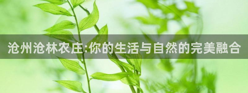 必一体育下载义