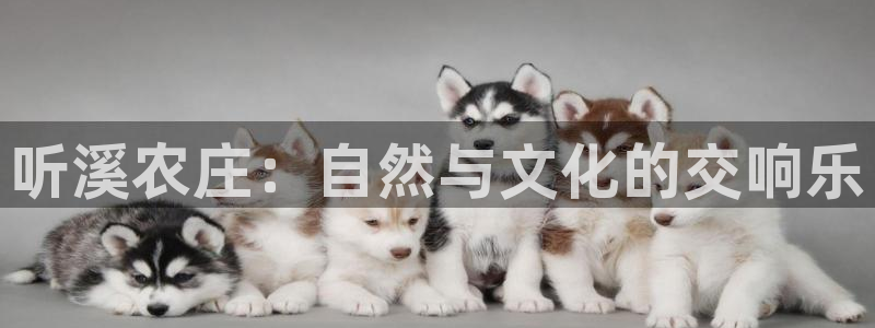 必一体育官网网站