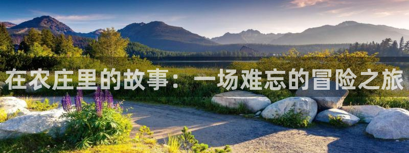 必一体育黑平台