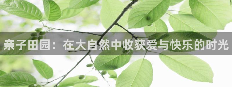 必一体育是哪里的台子