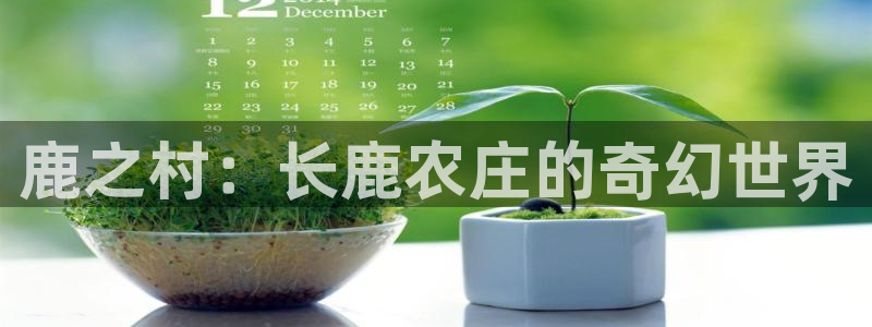 必一体育