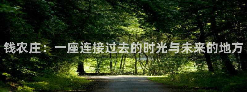必一体育APP
