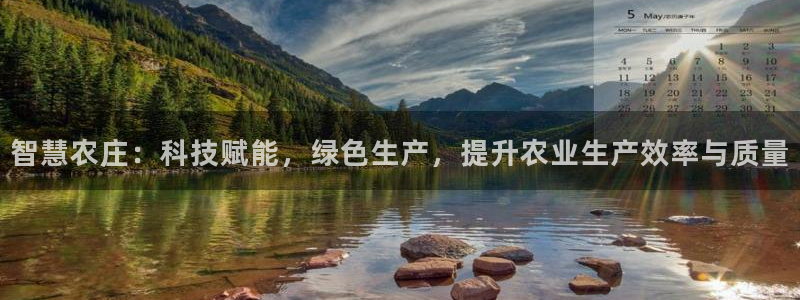 必一运动体育app