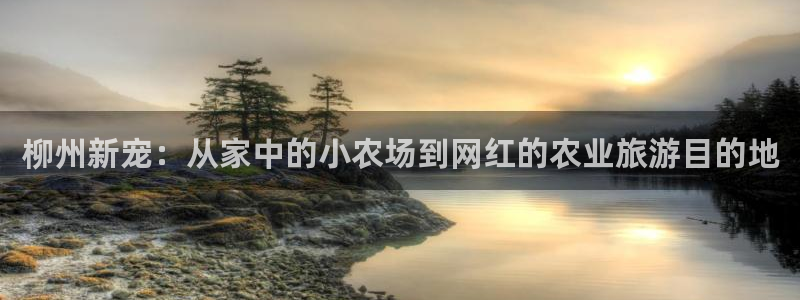 必一体育登陆