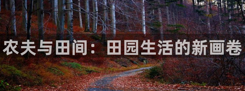 必一体育sport官网