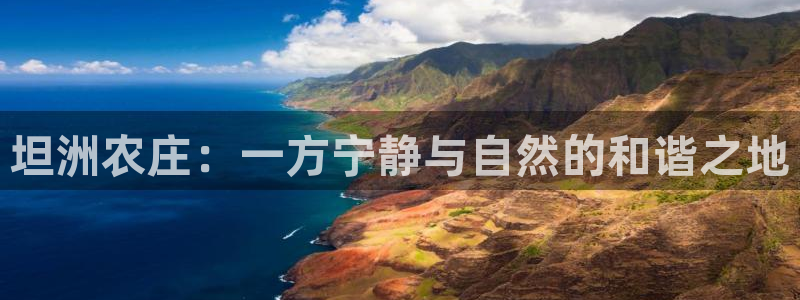 必一运动体育官网