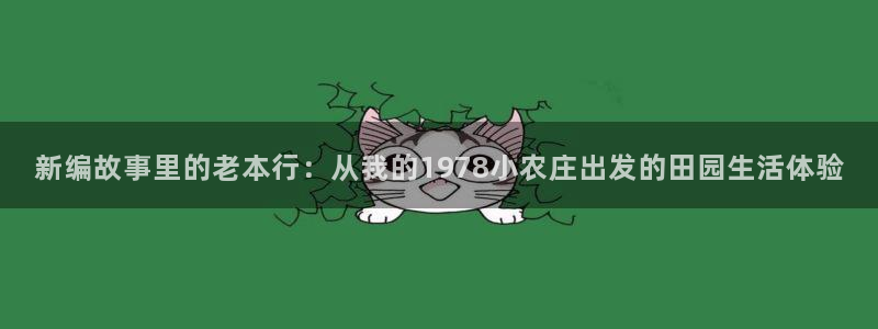b体育必一下载