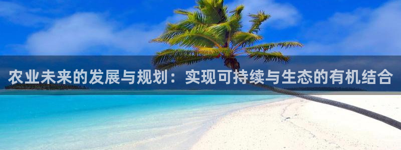 Bsport体育app必一