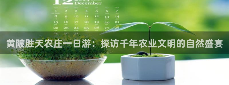 必一体育下载