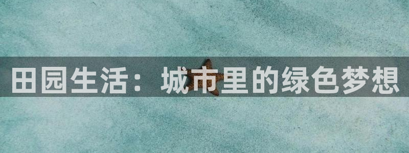必一体育合法吗