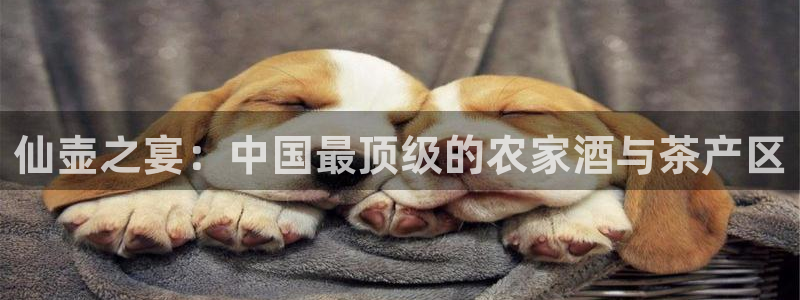 必一运动·(B-Sports)土豆